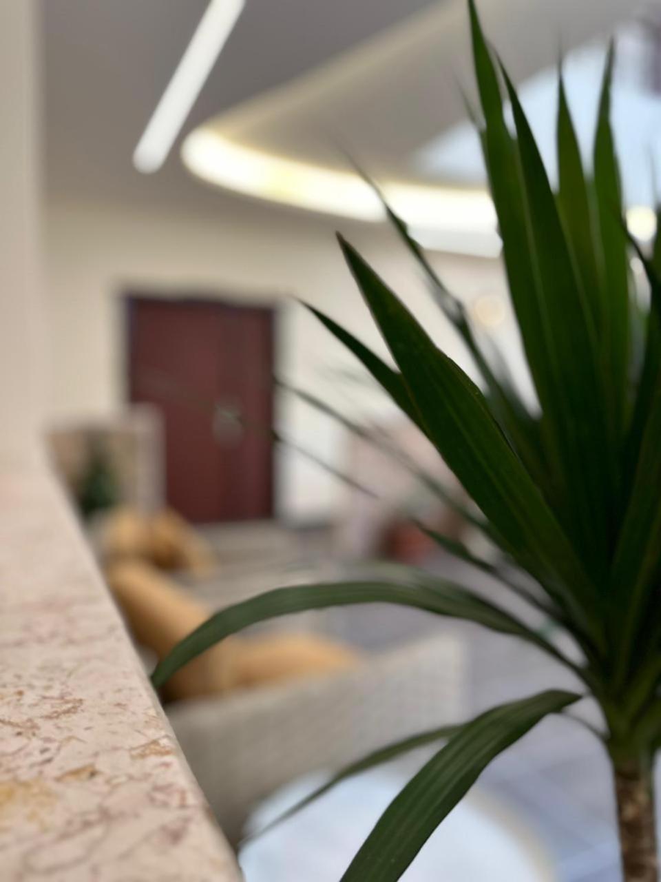 Rumman Hotel Medeba Dış mekan fotoğraf